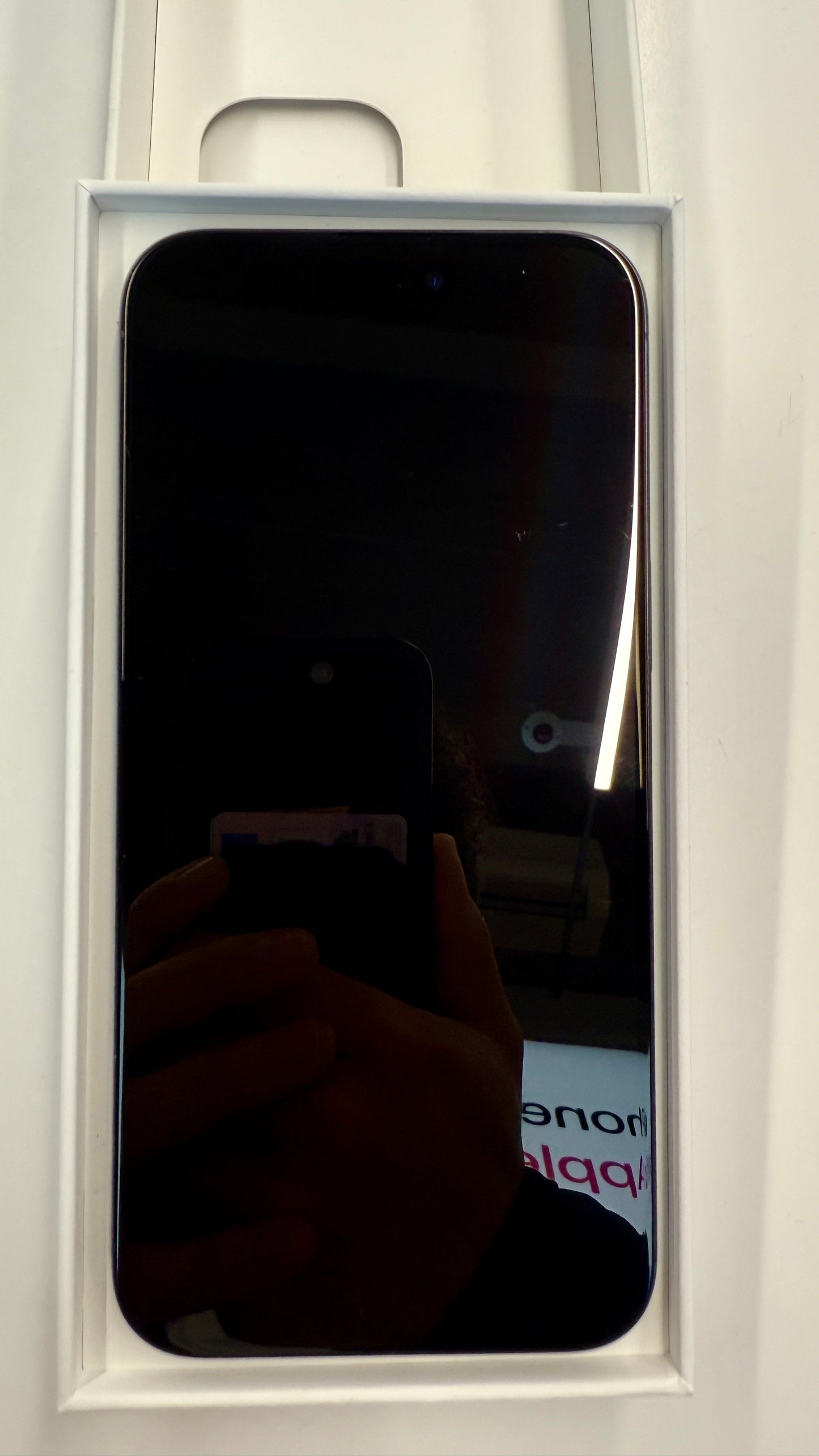 iPhone 15 Pro Max, 256GB, Titan blau - gebraucht
