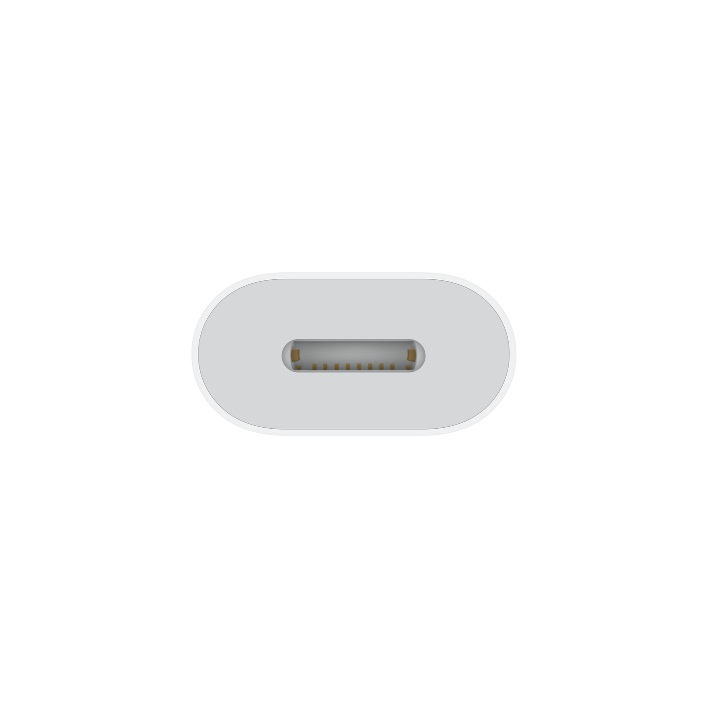 USB-C to Lightning Adapter