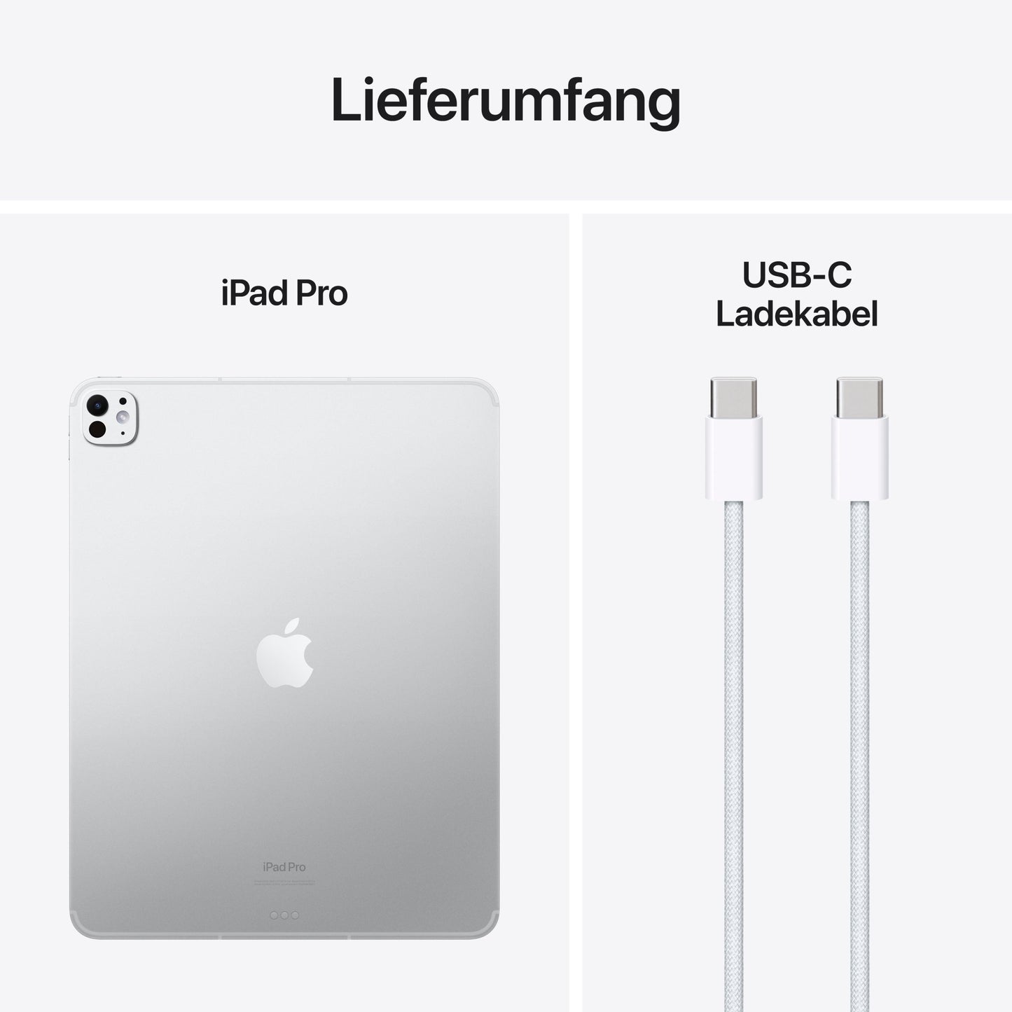 Apple iPad Pro 13 Zoll Wi-Fi + Cellular mit Standardglas, 1TB, silber