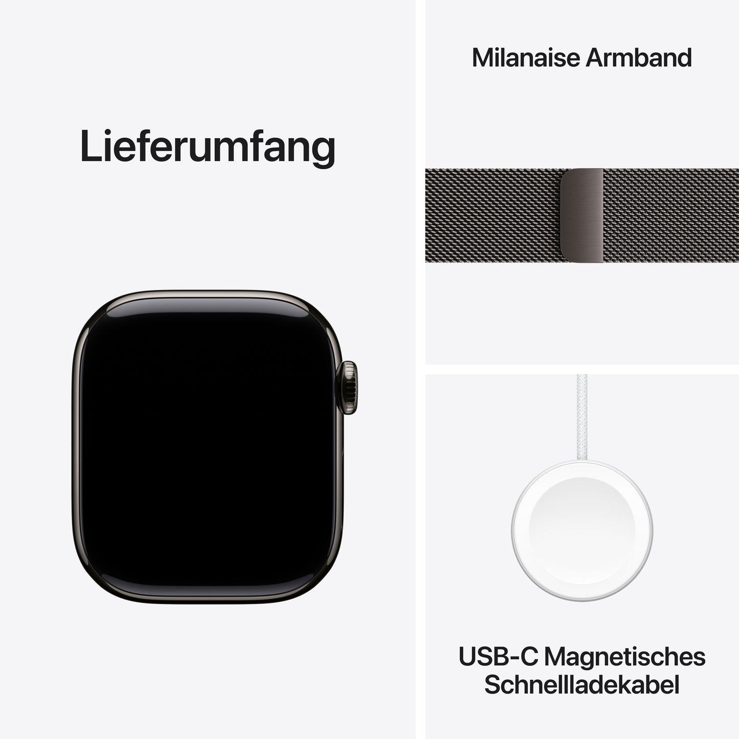 Apple Watch Series 10 GPS + Cellular, Titan schiefer, 42mm mit Milanaise-Armband, schiefer