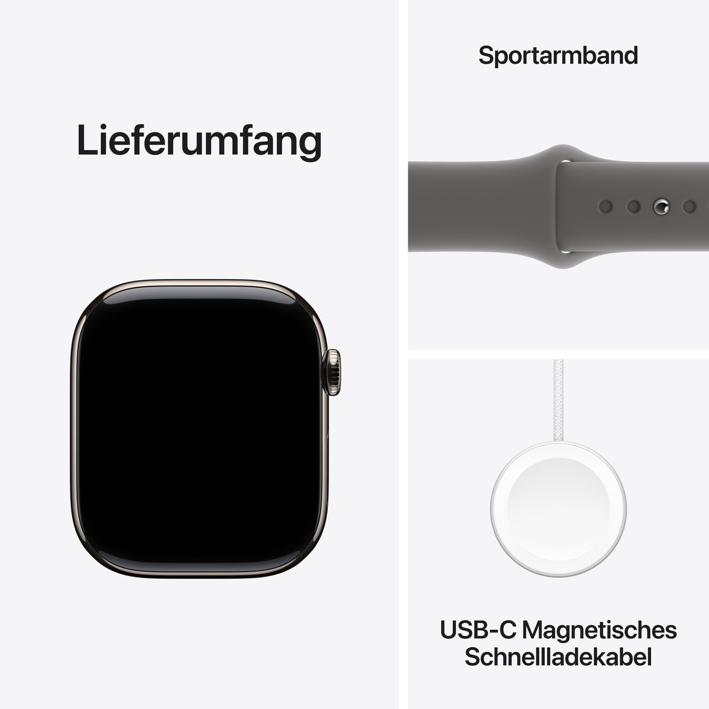 Apple Watch Series 10 GPS + Cellular, Titan natur, 46mm mit Sportarmband, steingrau - S/M