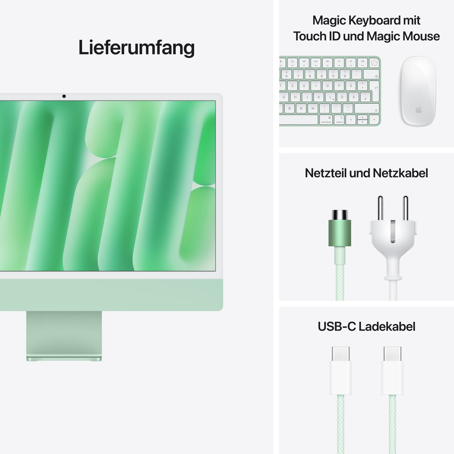 iMac 24 Zoll mit 4.5K Retina Display, M4 Chip 10-Core CPU und 10-Core GPU, 24GB, 512GB SSD, grün