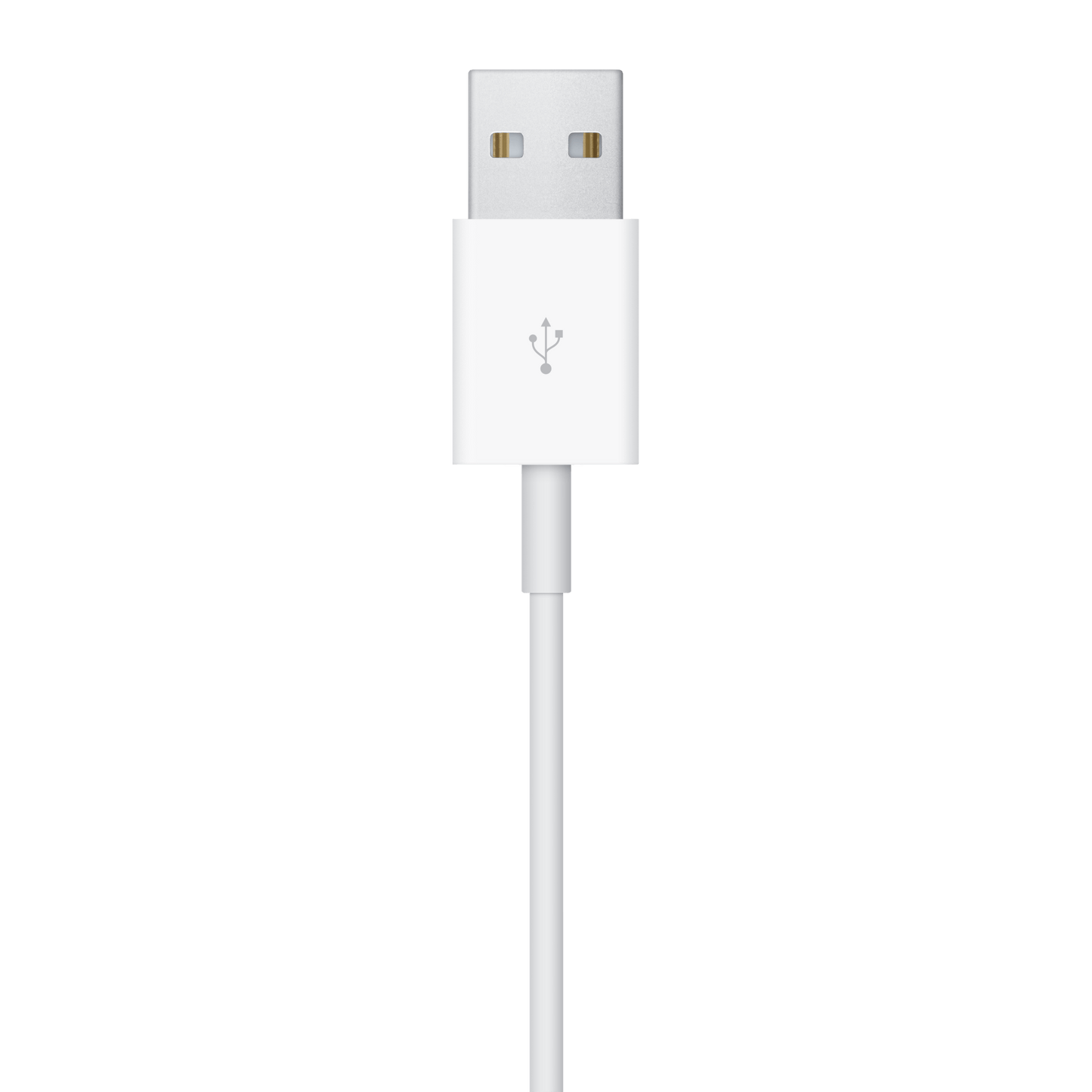 Apple Watch Magnetisches Ladekabel (1 m)