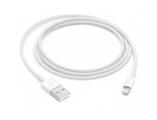 Apple Lightning auf USB Kabel (1 m)