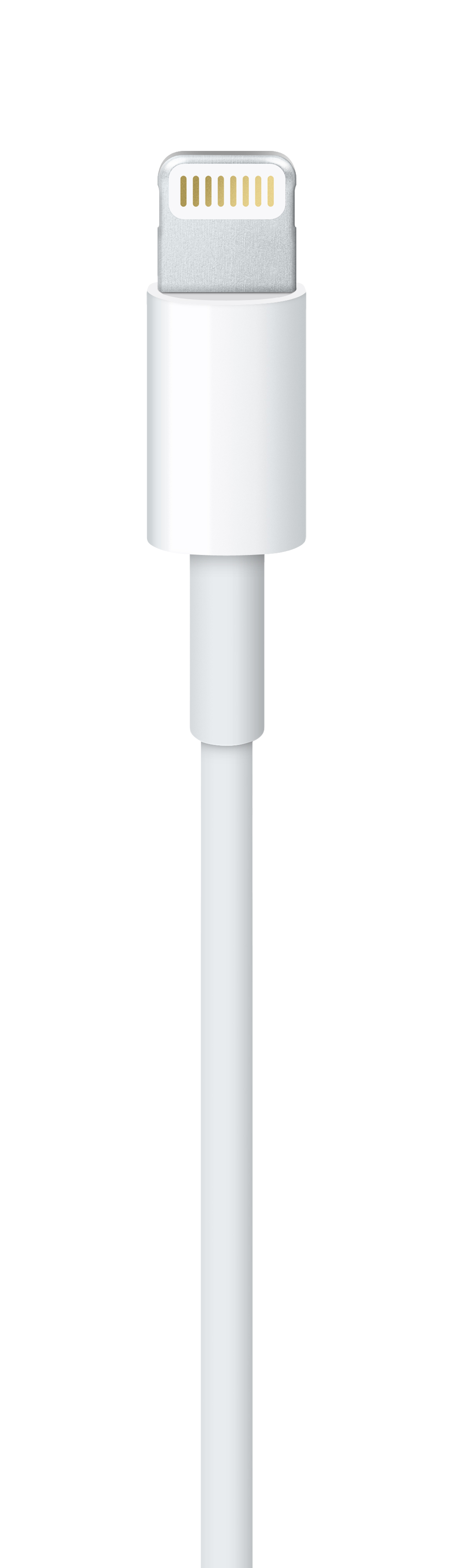 Apple Lightning auf USB Kabel (1 m)