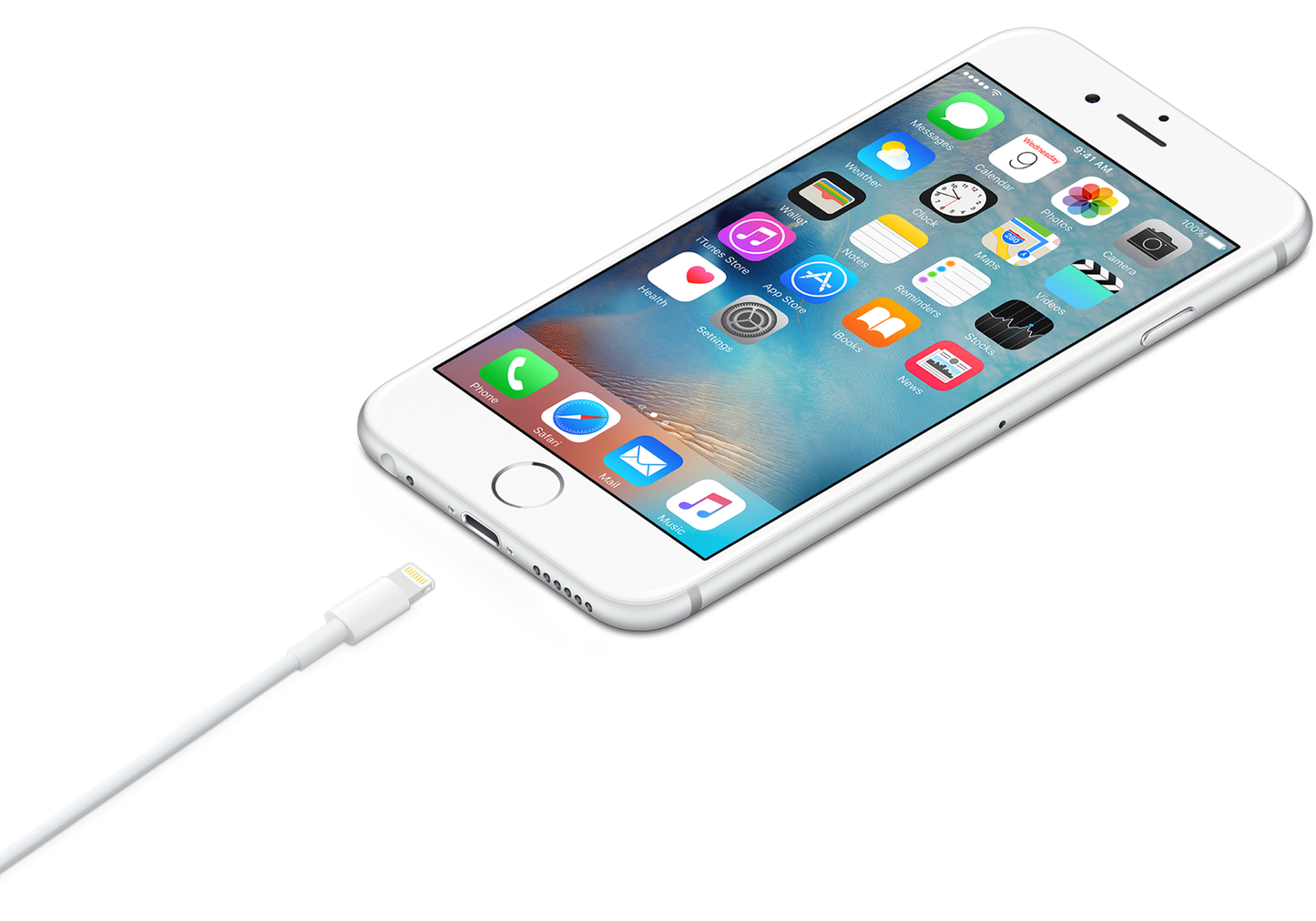 Apple Lightning auf USB Kabel (1 m)