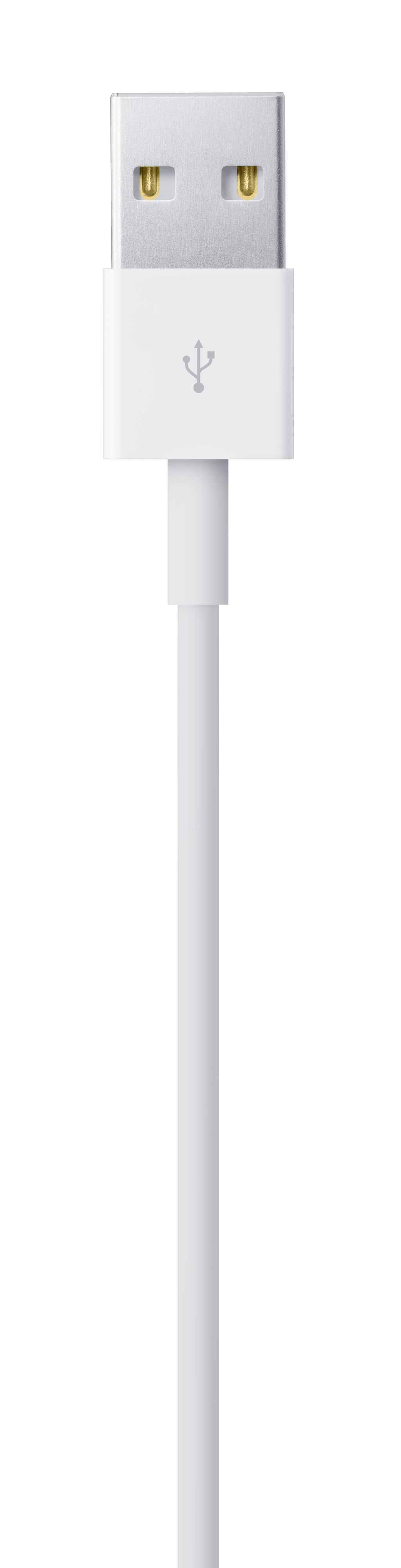 Apple Lightning auf USB Kabel (1 m)