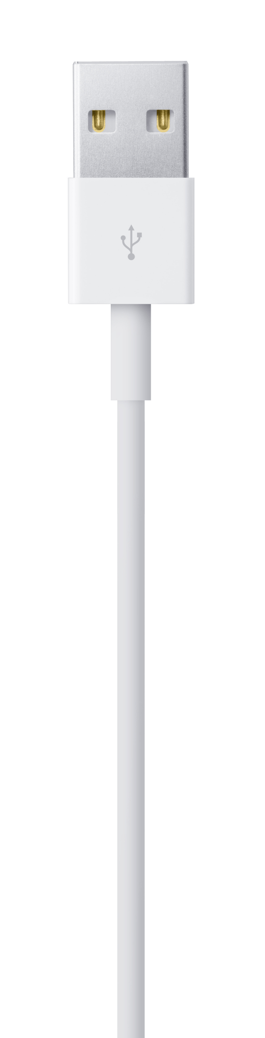 Apple Lightning auf USB Kabel (1 m)