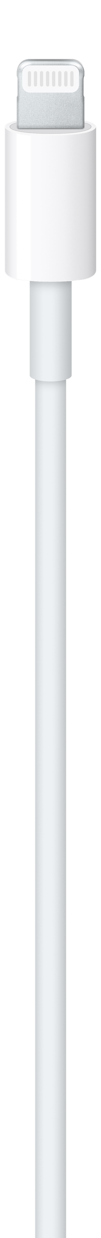 Apple USB-C auf Lightning Kabel (1 m)