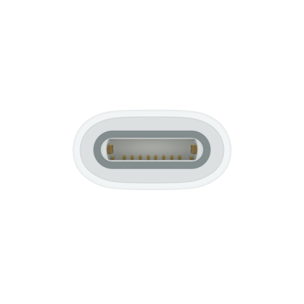 Apple USB-C auf Apple Pencil Adapter