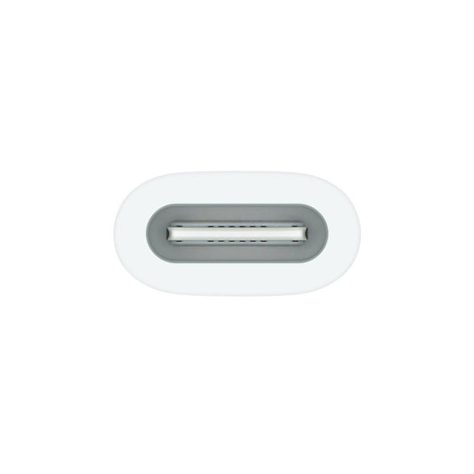 Apple USB-C auf Apple Pencil Adapter