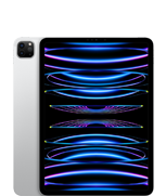 11" iPad Pro (4. Generation)