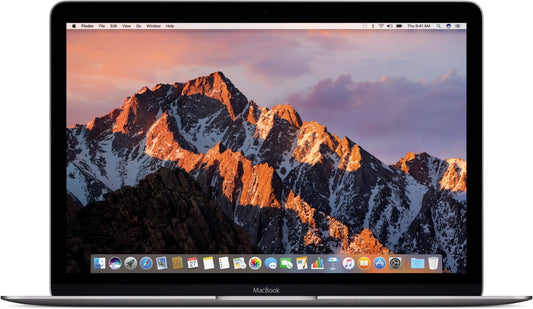 MacBook Retina 12“ 1.1GHz intel Dual-Core M - 8GB/256GB/ Spacegrau - gebraucht 1