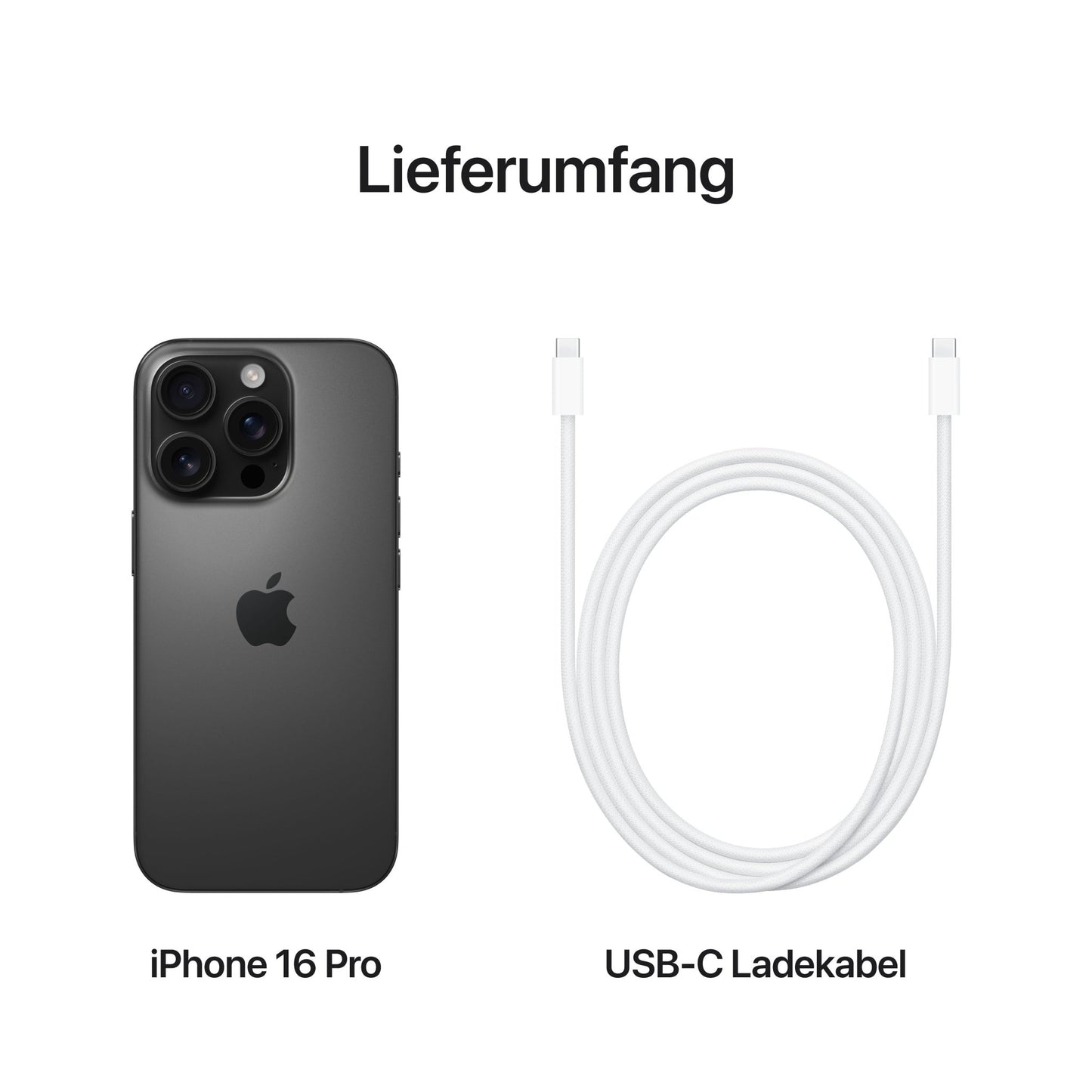 iPhone 16 Pro, 1TB, Titan schwarz