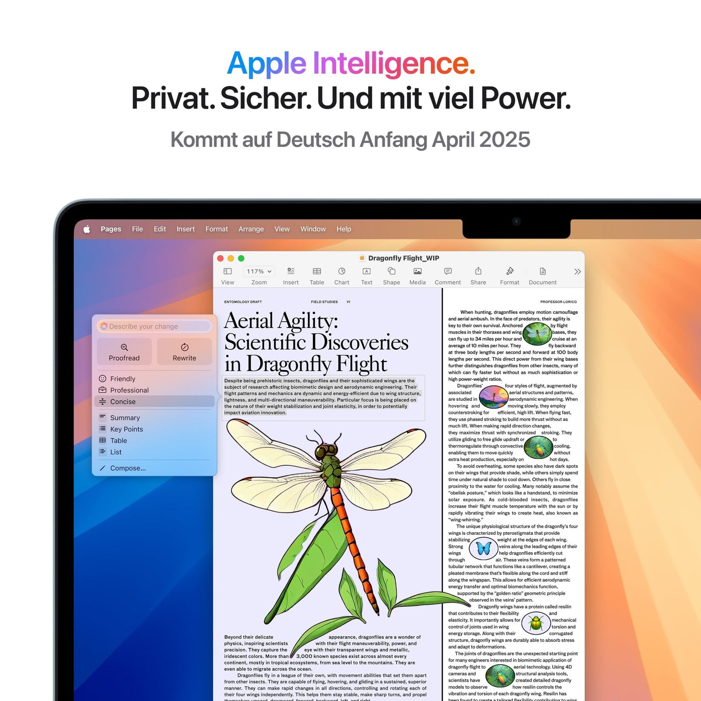 MacBook Air 13,6 RET - BL/M4 10C CPU u. 8C GPU/16 GB/256 GB SSD/35W/GER