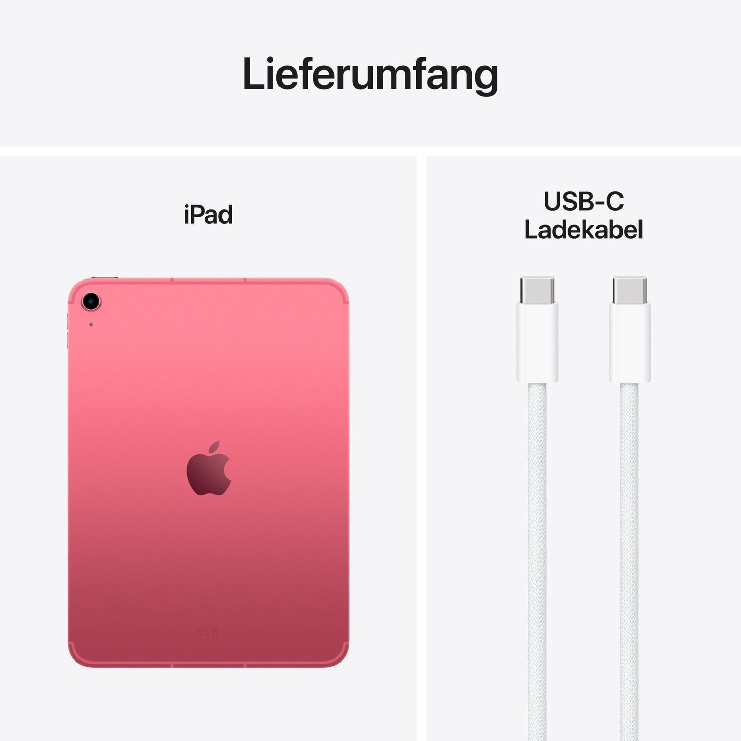 Apple iPad 11 Zoll (A16) Wi-Fi + Cellular, 512GB, pink