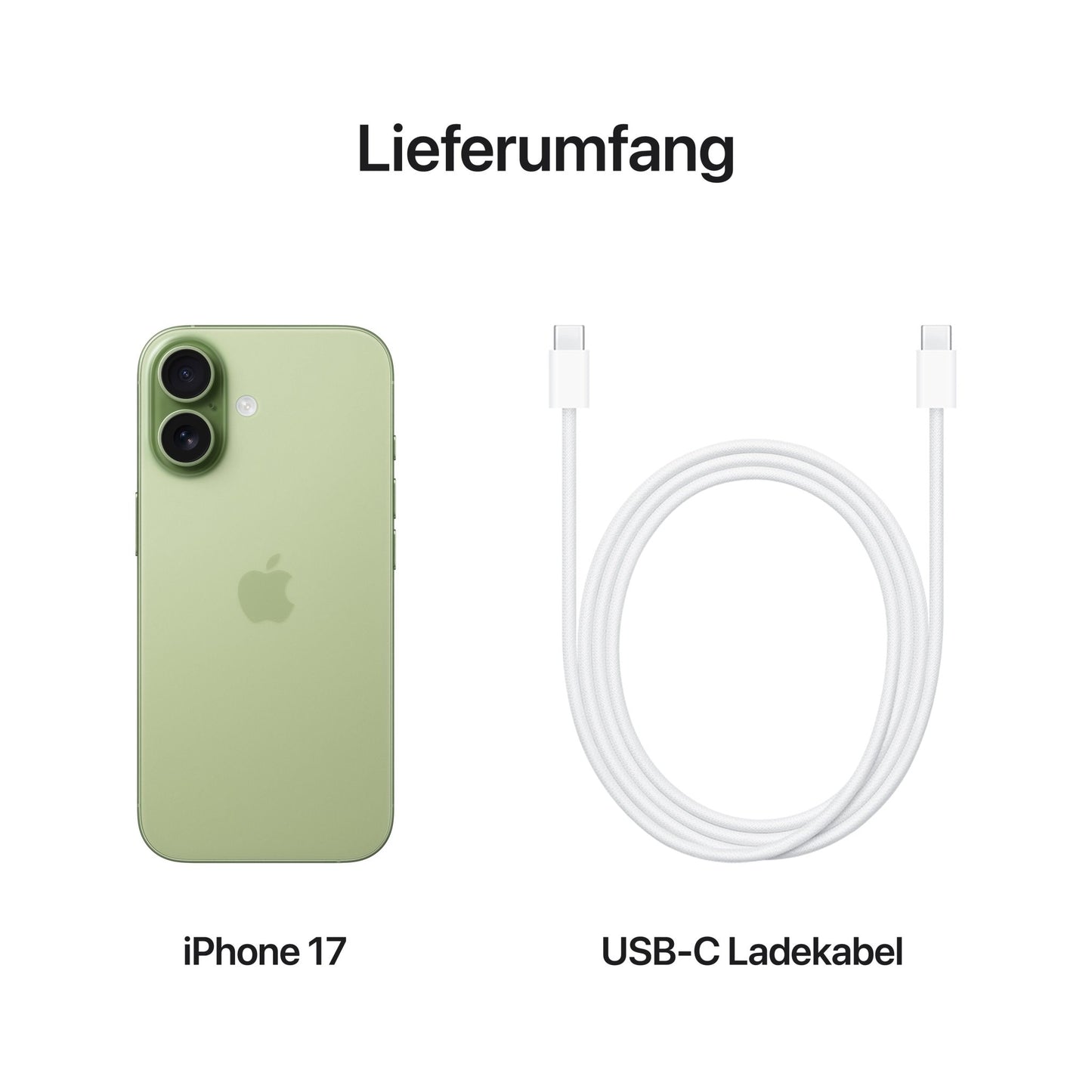 iPhone 17 256GB Salbei