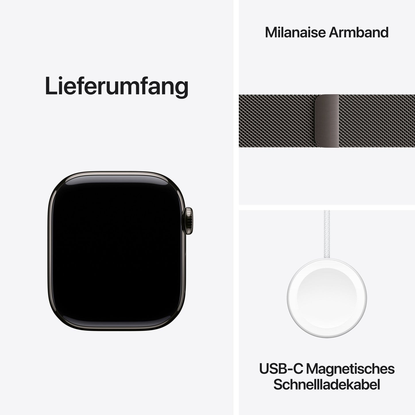 Apple Watch Series 11 GPS + Cellular 42mm Schiefer Titan Case mit Schiefer Milanaise Loop